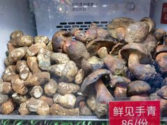 见手青-太婆天府山珍酒楼(亚运村店)