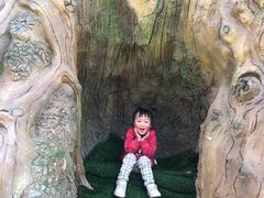 -松鼠王国