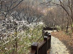 -大连植物园