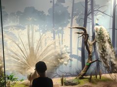 -陕西自然博物馆