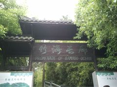 -藏龙百瀑风景区