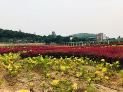 -望天湖