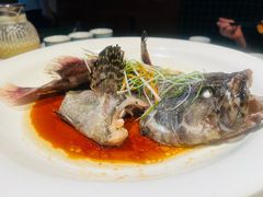 古法清蒸老虎斑-顺鹅季·非遗烧鹅(六道口店)