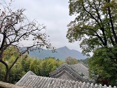 -潭柘寺景区