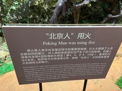 -北京周口店北京人遗址博物馆