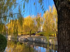 -元大都城垣遗址公园