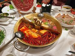 -小龙翻大江文化火锅(宽窄店)