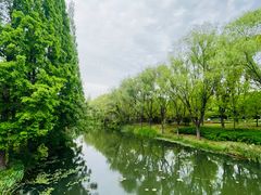 -昆山城市生态森林公园