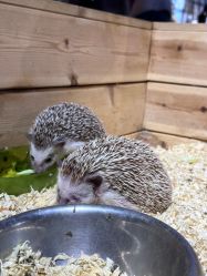 -酷嗒动物文化乐园(cutezoo西溪乐天城店)