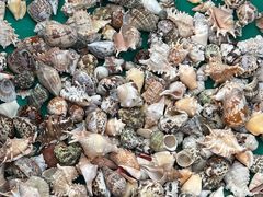 -青岛胶东国际机场