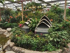 -南宫五洲植物乐园