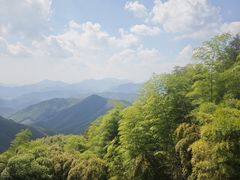 -莫干山风景区