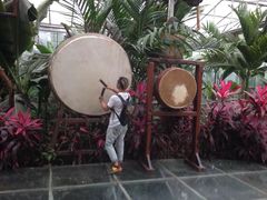 -呀路古热带植物园-恐龙馆