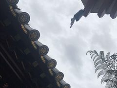 -新加坡佛牙寺龙华院