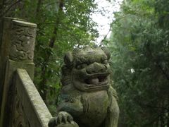 -天台山景区
