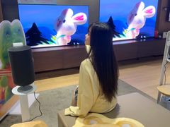 -Sony Store索尼(广州正佳店)