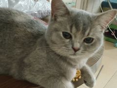 -博特宠物医院24h犬猫全科.骨科·异宠