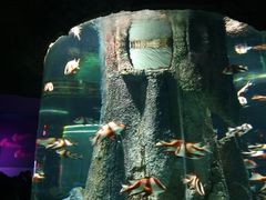 -福州罗源湾海洋世界旅游区