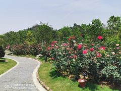 -东莞植物园