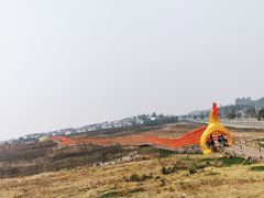 -空港花田景区