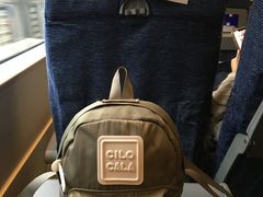 -衡阳东站