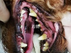 -佳雯宠物医院(金华南路分院)