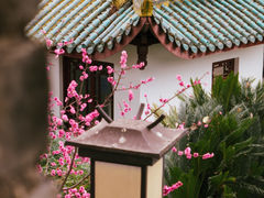 -桂湖森林公园