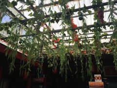 -珍巷福地四合院菜馆(复兴门店)