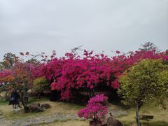 -盈香心动乐园