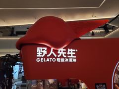 -野人先生现做冰淇淋(北京王府井东方新天地店)