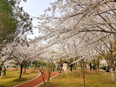 -江南大学(蠡湖校区)