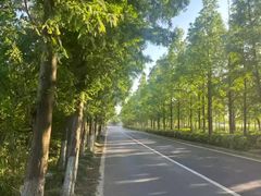 -上海长兴岛郊野公园