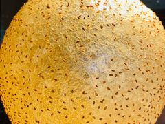 -吴越荣记苏州菜·松鼠桂鱼100%活鱼现做(斜塘老街店)