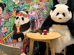 -轩客会(熊猫书店)