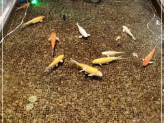 -金满楼(天河中路店)