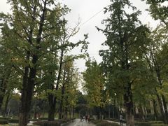 -百林公园-两江幸福广场