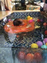 -保丽宝泰母婴护理院·月子中心·产康·中医(常州店)