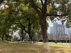 -长沙市青少年宫