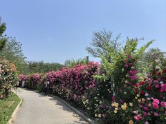 -太阳宫公园