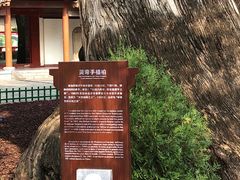 -黄帝陵