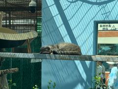 -青藏高原野生动物园