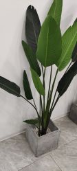 -D.z Salon 无痕接发潮店