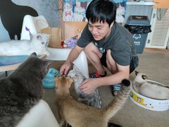 -泰国佛·塔罗·泰牌狐仙古曼