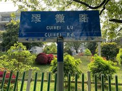 -铁山坪森林公园