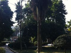 雁湖公园-雁荡山雁湖景区