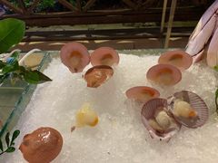 贝壳类-渔家火锅·海鲜自助餐·演艺(亚龙湾天域酒店)