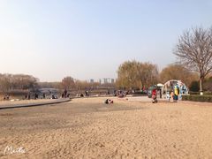 -大兴滨河森林公园