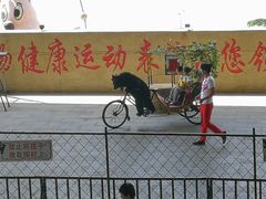 -东方熊牧场