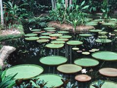 -植物园哈利亚餐厅