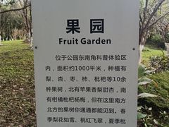 -昆山城市生态森林公园